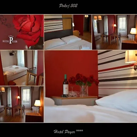 Payer Hotel 4*