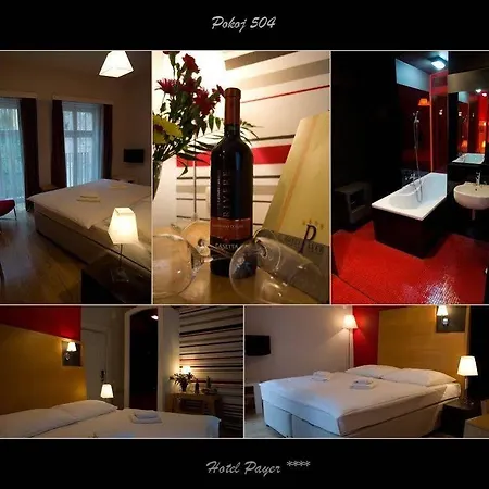 Payer Hotel 4*